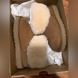 Chestnut Low Uggs